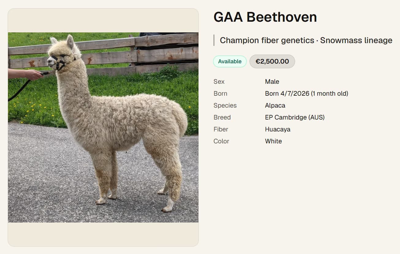 Public sale page for an animal with photos, pedigree, fibre stats and a contact form for prospective buyers.