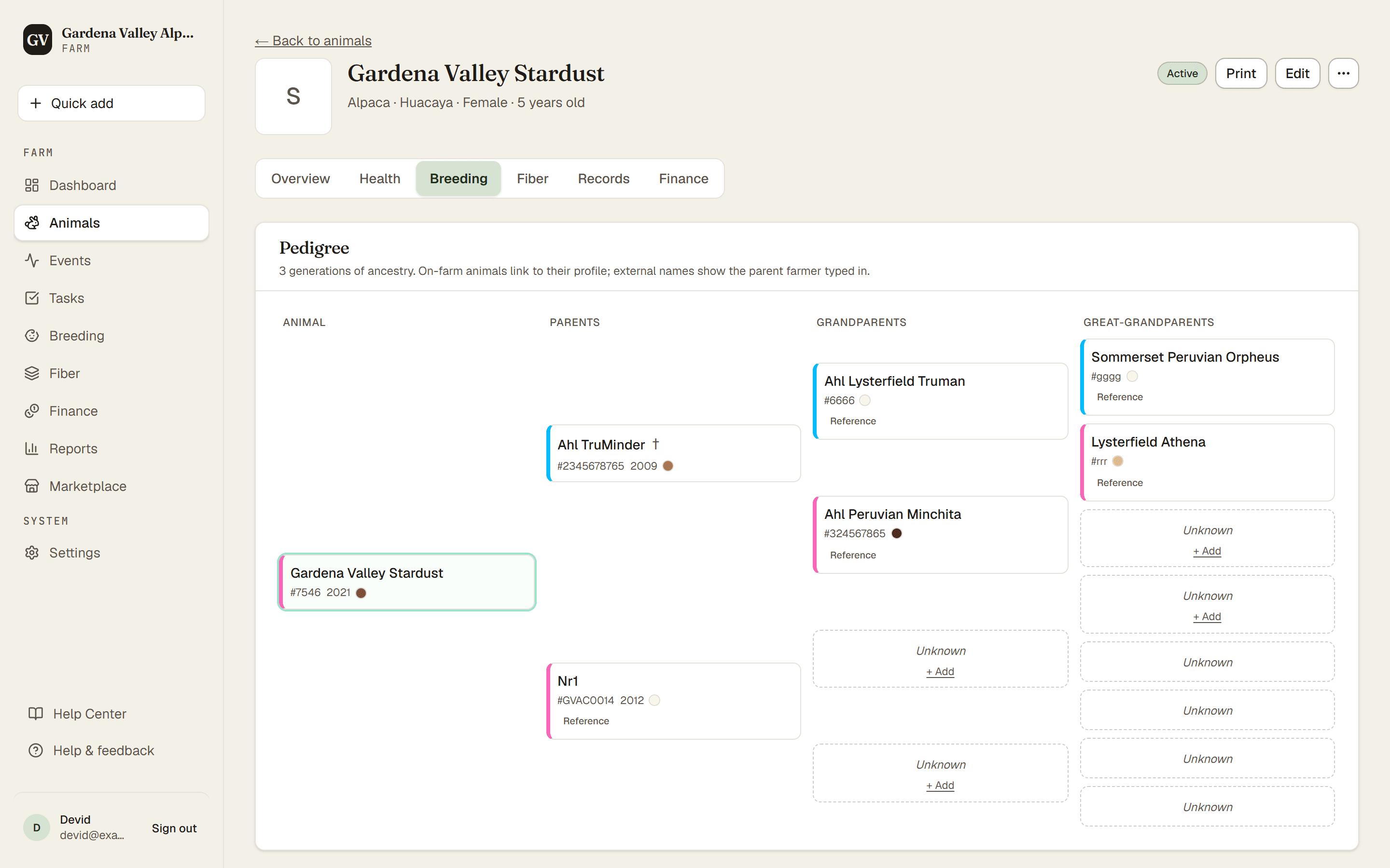 The pedigree tree on the Breeding tab, with ancestors fanning out to the right