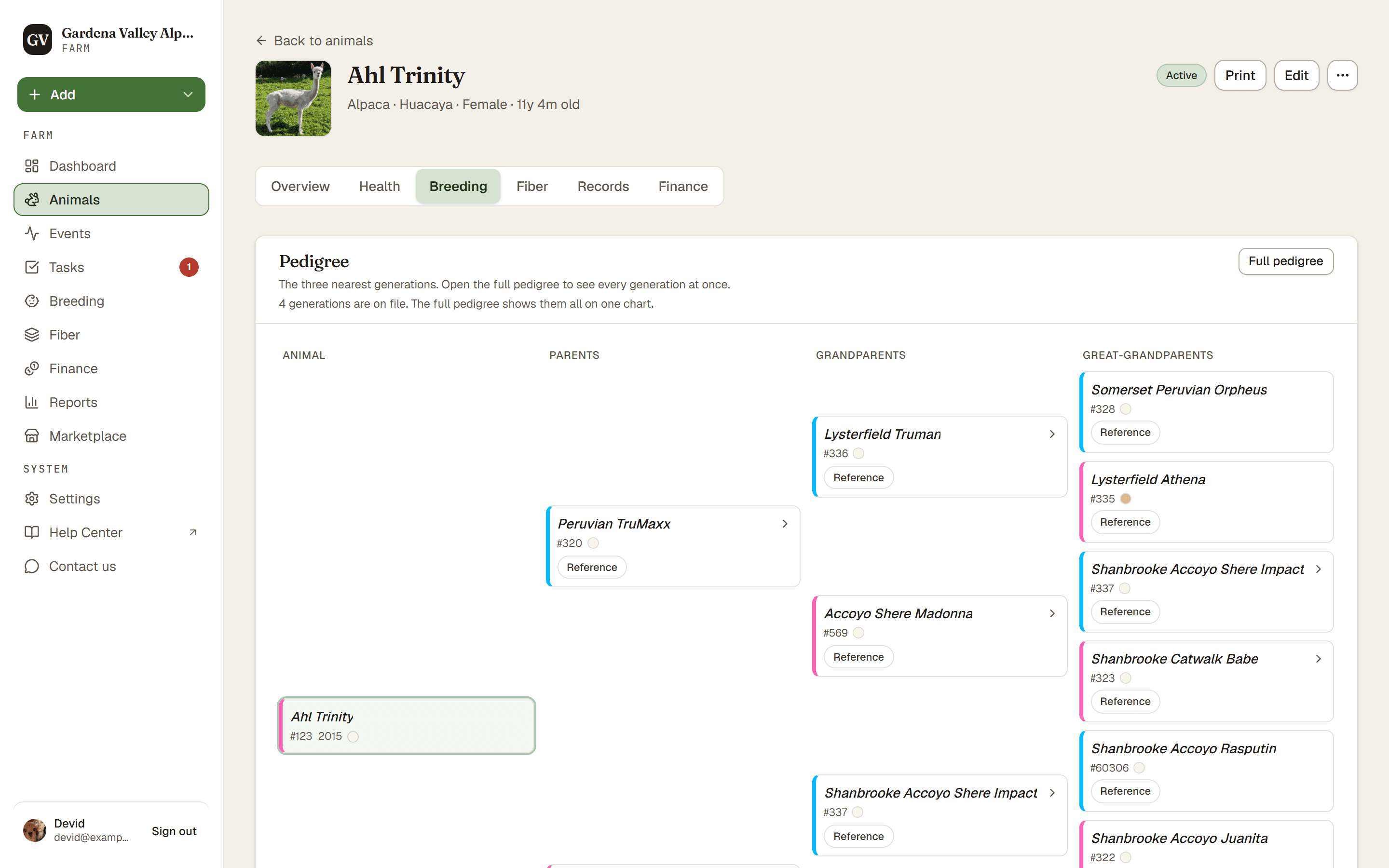 The pedigree tree on the Breeding tab, with ancestors fanning out to the right