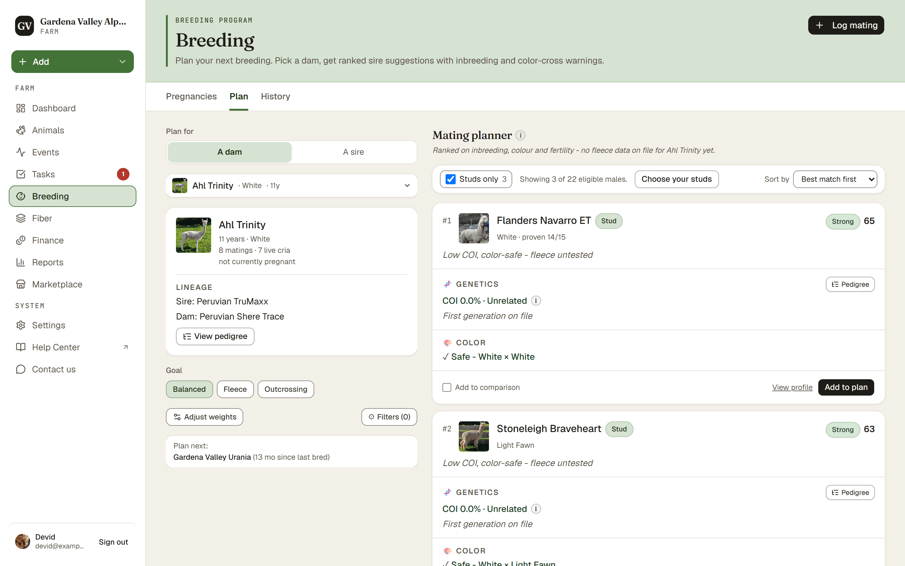 The Plan tab with a dam selected and ranked sire suggestions below