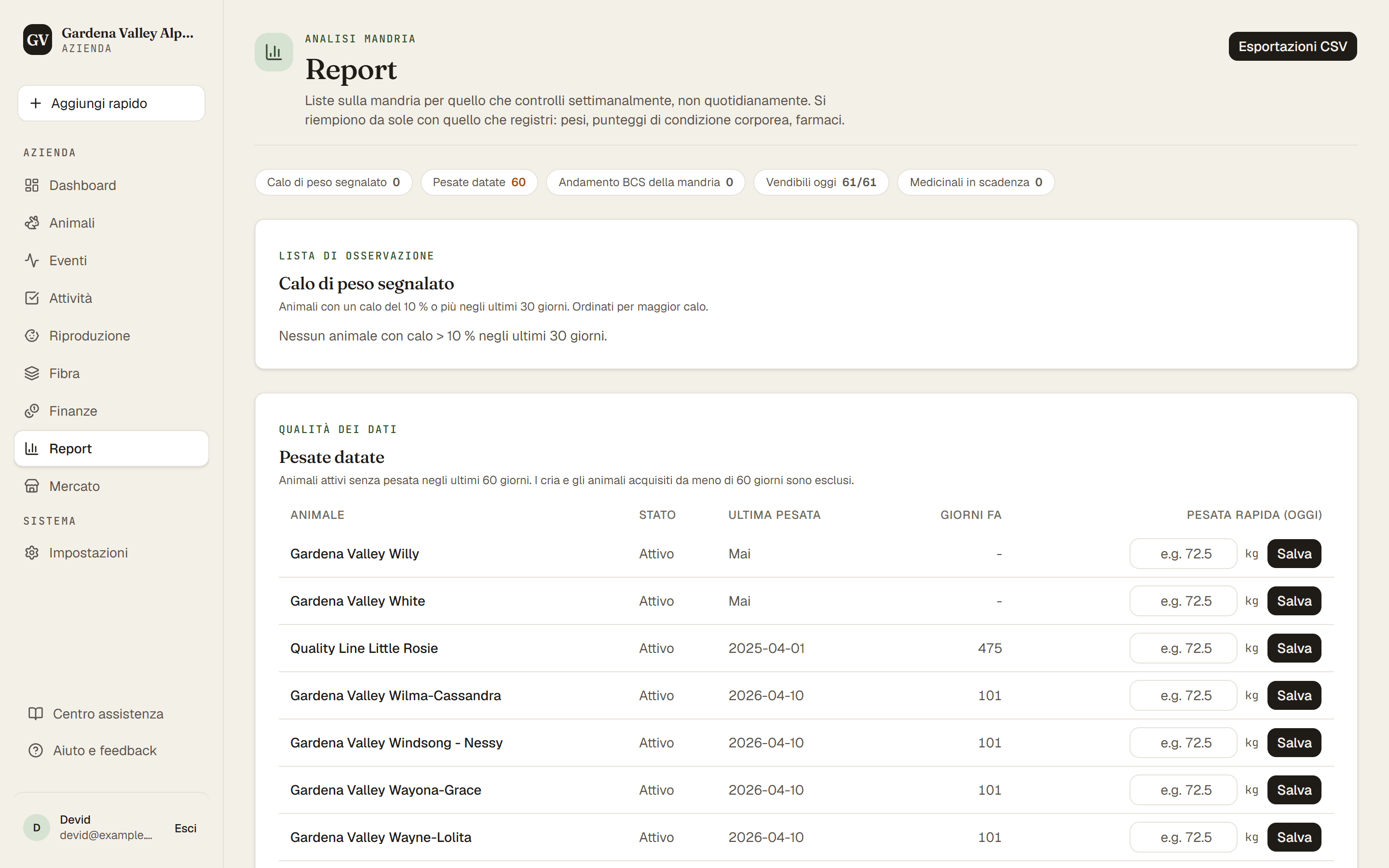 La pagina Report con le sue schede elenco