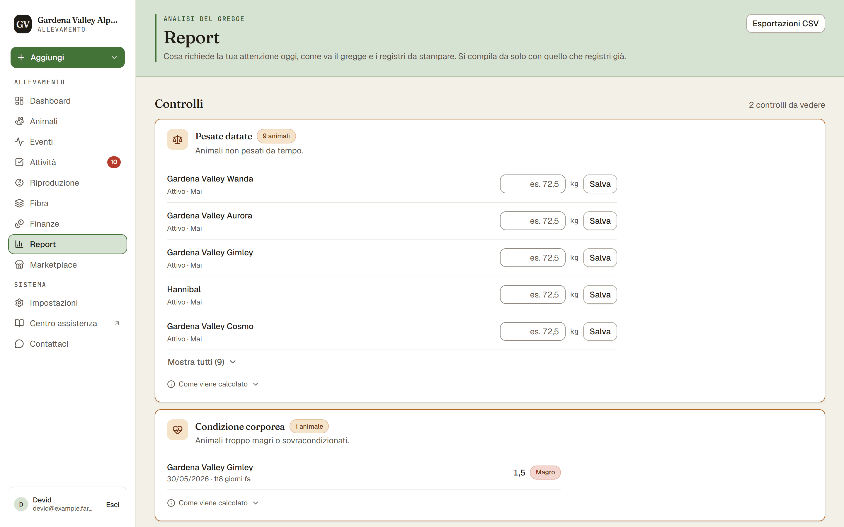 La pagina Report con i suoi controlli