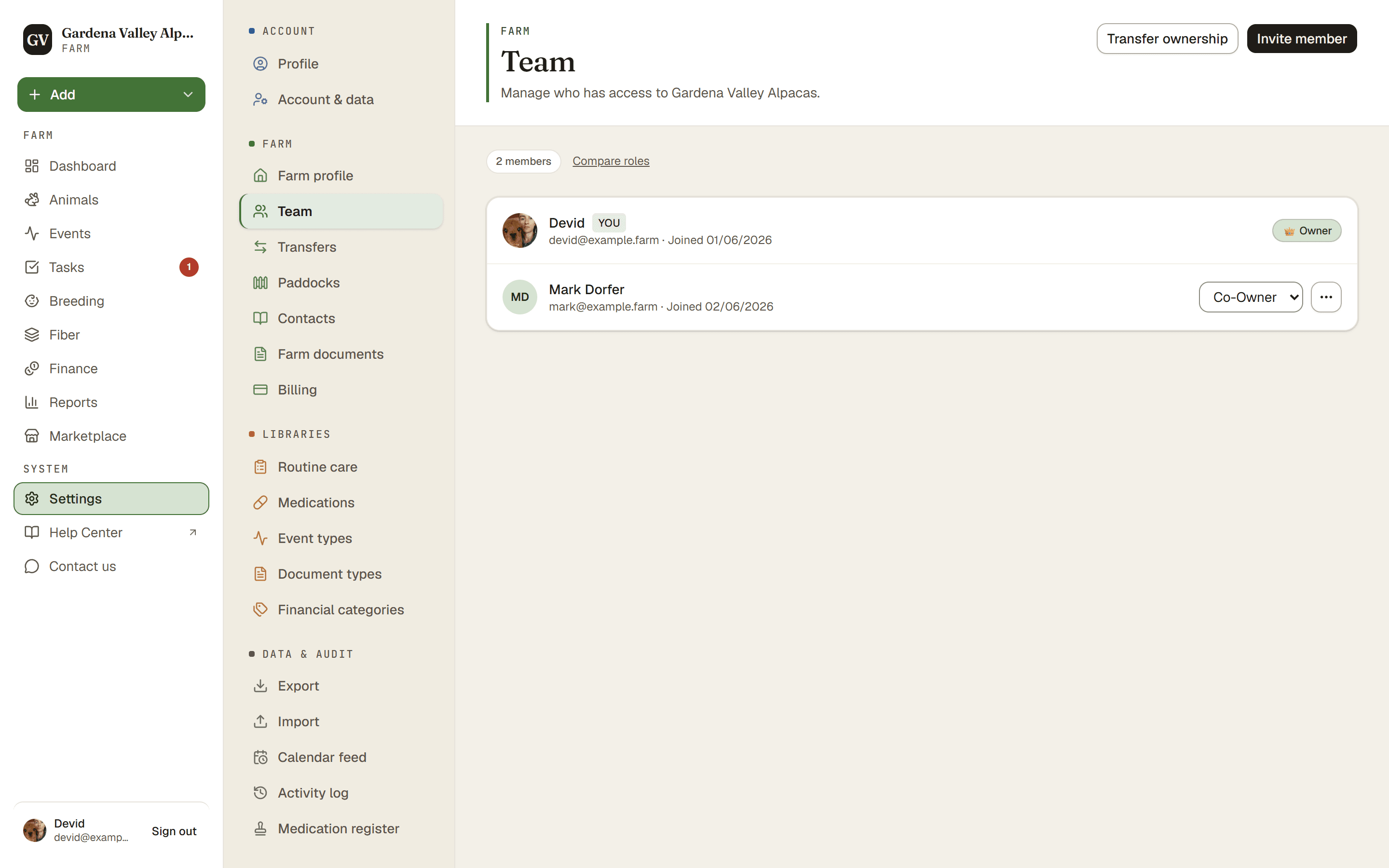 The Team page with members, roles, and the Invite member button